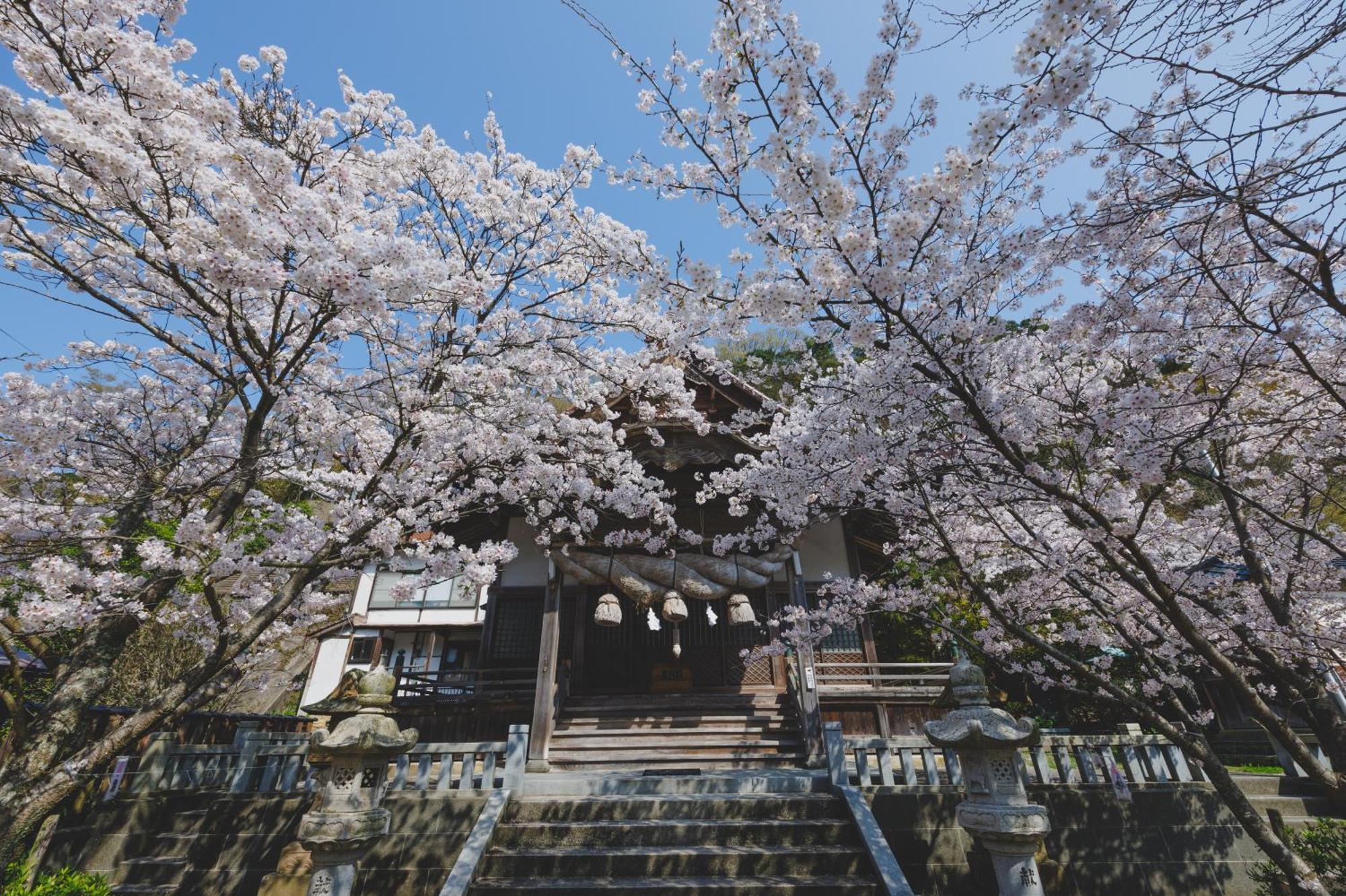 Ryokan Masuya Hotel Oda Exterior photo